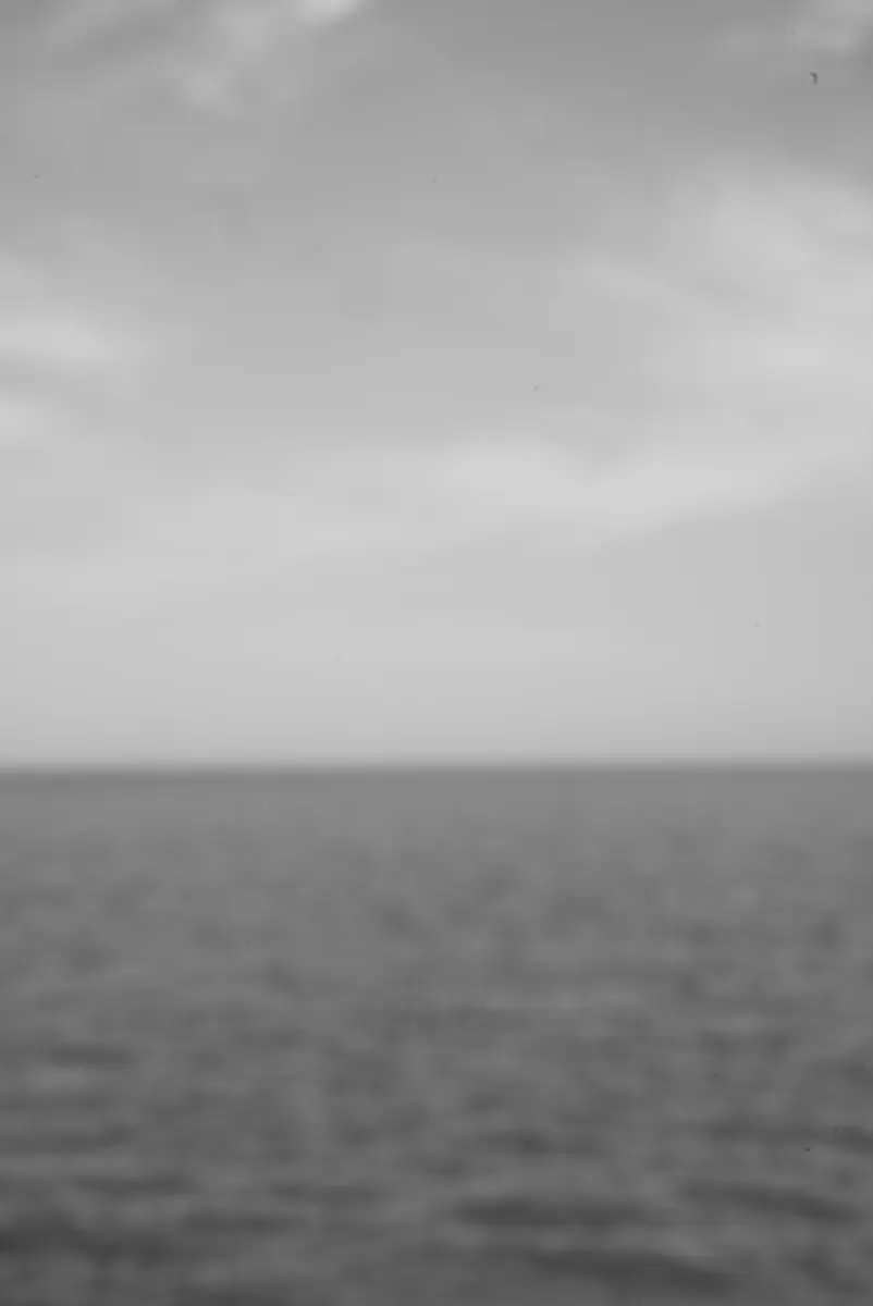 Black and white photograph 01