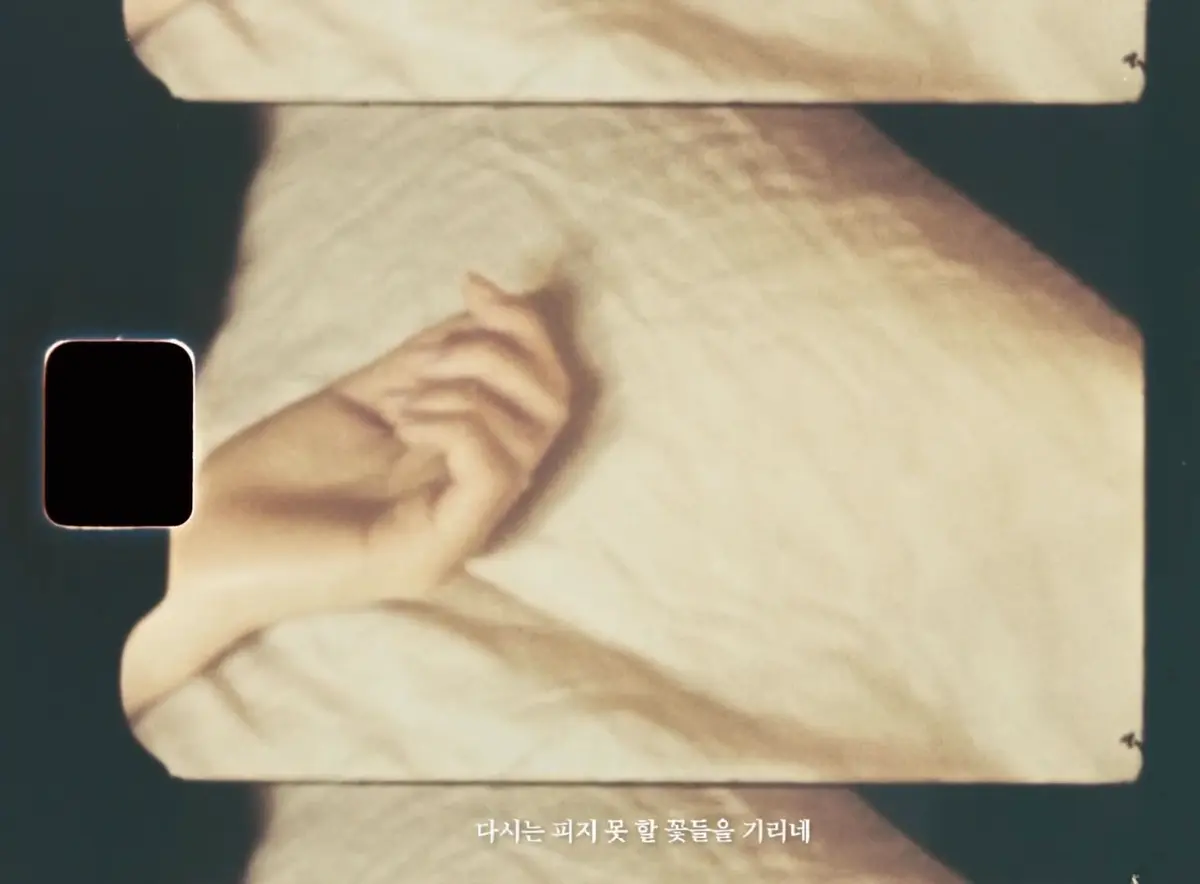 봄날은 간다 still 2