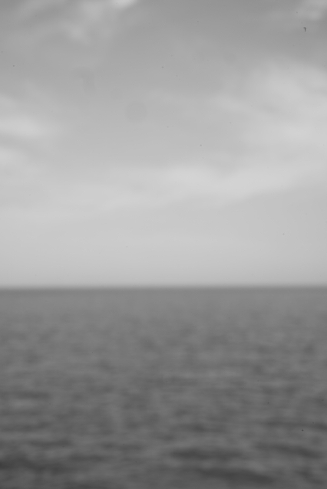Black and white photograph 01